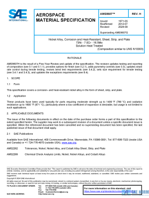 SAE AMS 5607 Series PDF