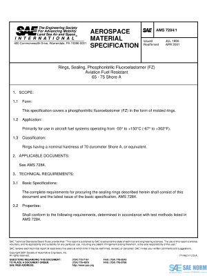 SAE AMS 7284/1 Series PDF