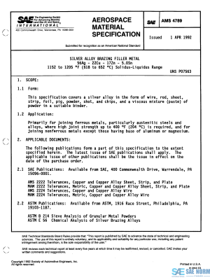 SAE AMS 4789 Series PDF