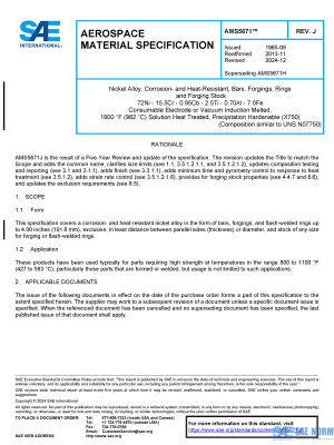 SAE AMS 5671 Series PDF