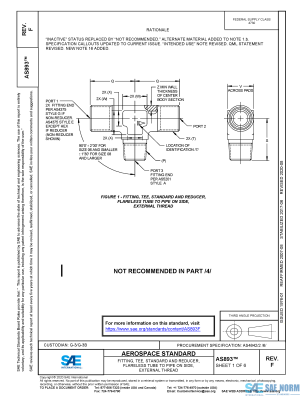 SAE AS 893 Series PDF