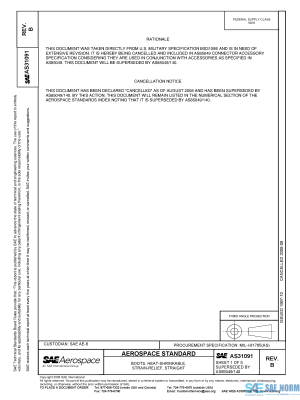 SAE AS 31091 Series PDF