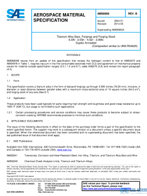 SAE AMS 6905 Series PDF
