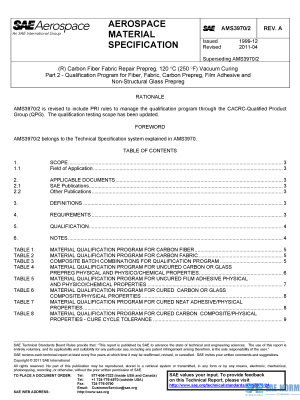 SAE AMS 3970/2 Series PDF
