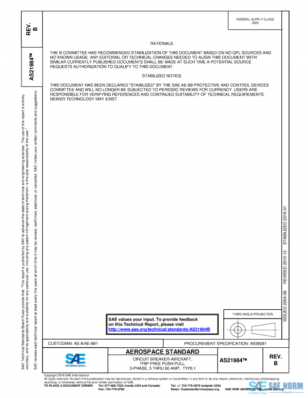 SAE AS 21984 Series PDF