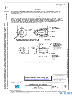 SAE AS 21914 Series PDF