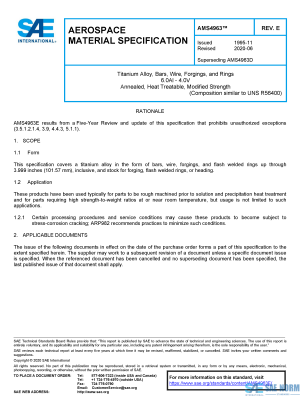 SAE AMS 4963 Series PDF
