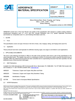 SAE AMS 4616 Series PDF