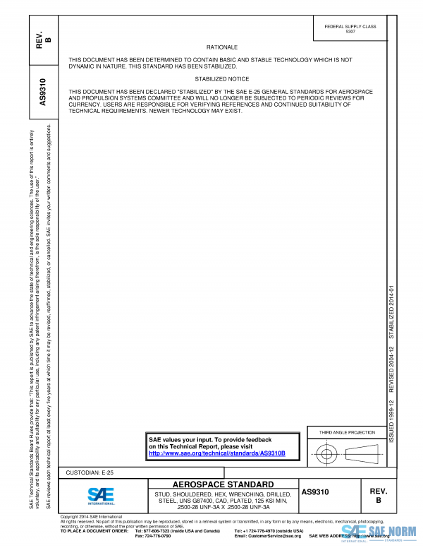 SAE AS 9310 Series PDF