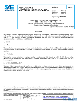 SAE AMS 5876 Series PDF