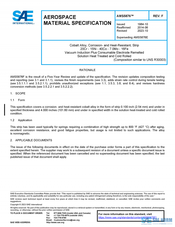 SAE AMS 5876 Series PDF