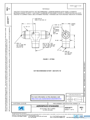 SAE AS 5197 Series PDF