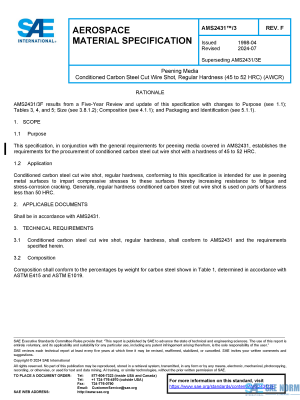 SAE AMS 2431/3 Series PDF