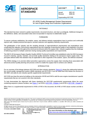 SAE AS 13100 Series PDF