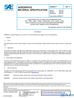SAE AMS 5841 Series PDF