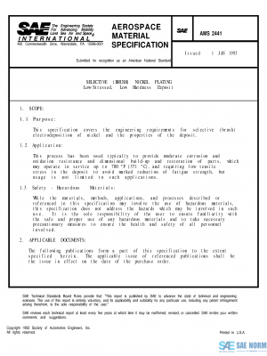 SAE AMS 2441 Series PDF