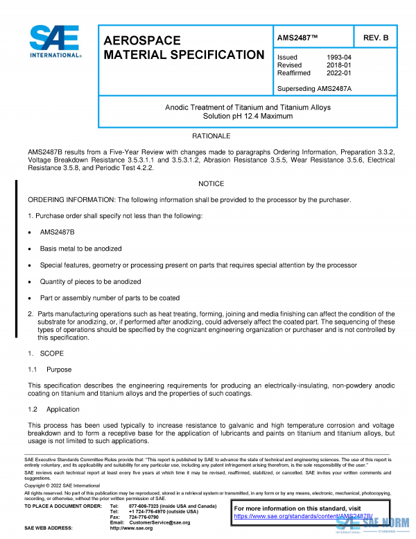 SAE AMS 2487 Series PDF