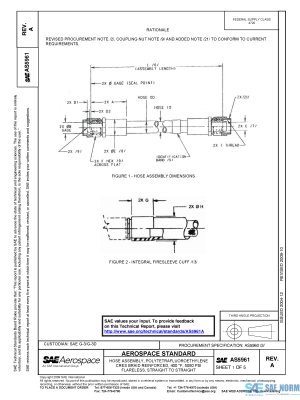 SAE AS 5961 Series PDF