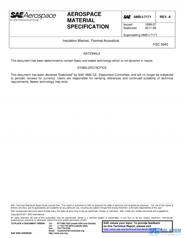 SAE AMSI 7171 Series PDF