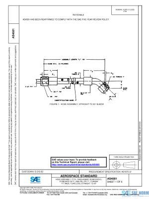 SAE AS 4581 Series PDF