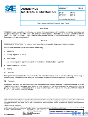 SAE AMS 2649 Series PDF