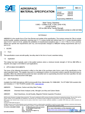 SAE AMS 6361 Series PDF