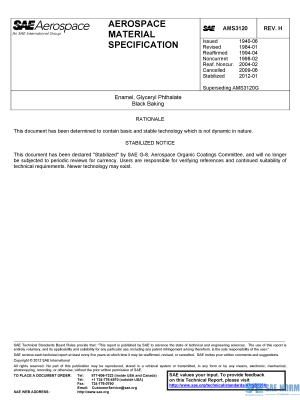 SAE AMS 3120 Series PDF