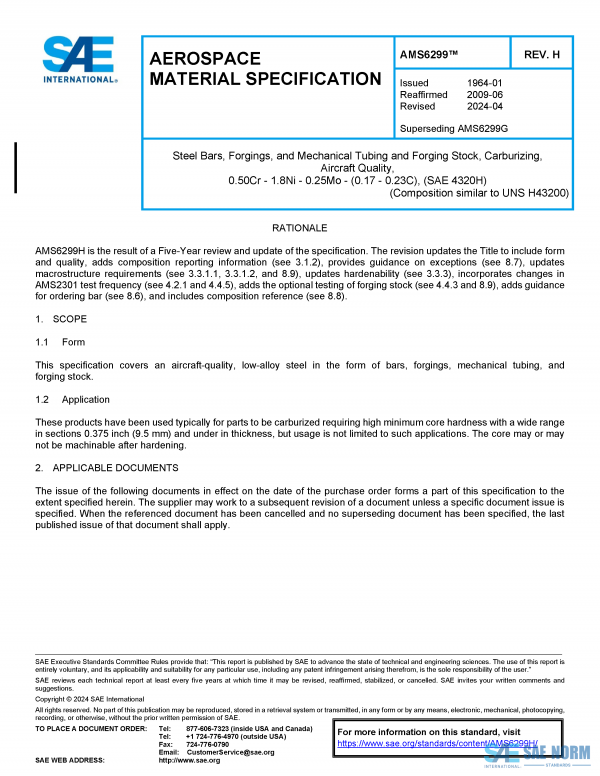 SAE AMS 6299 Series PDF