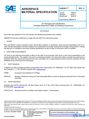 SAE AMS 2817 Series PDF