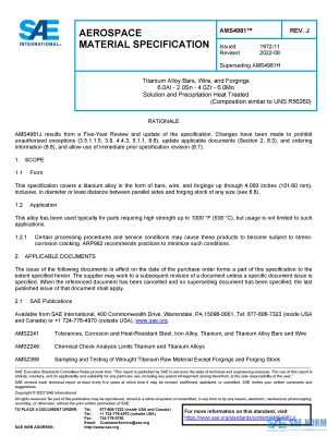 SAE AMS 4981 Series PDF