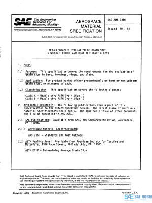SAE AMS 2316 Series PDF