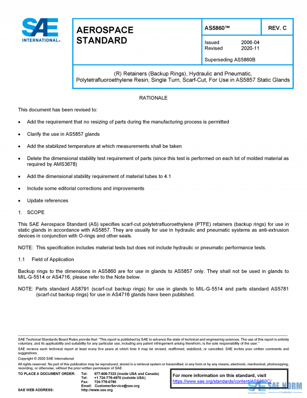 SAE AS 5860 Series PDF