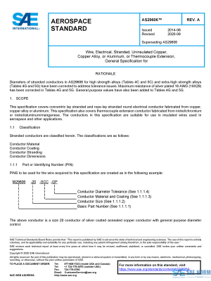SAE AS 29606 Series PDF