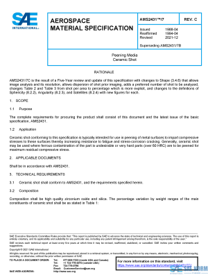 SAE AMS 2431/7 Series PDF