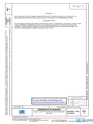 SAE AS 122900 Series PDF