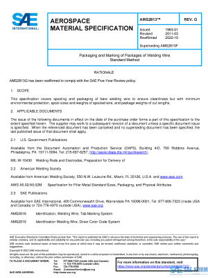 SAE AMS 2813 Series PDF