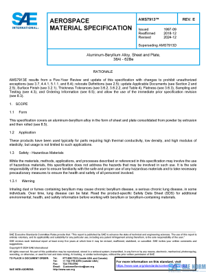 SAE AMS 7913 Series PDF