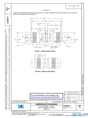 SAE AS 5969 Series PDF