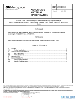 SAE AMS 2980/5 Series PDF