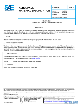 SAE AMS 2809 Series PDF
