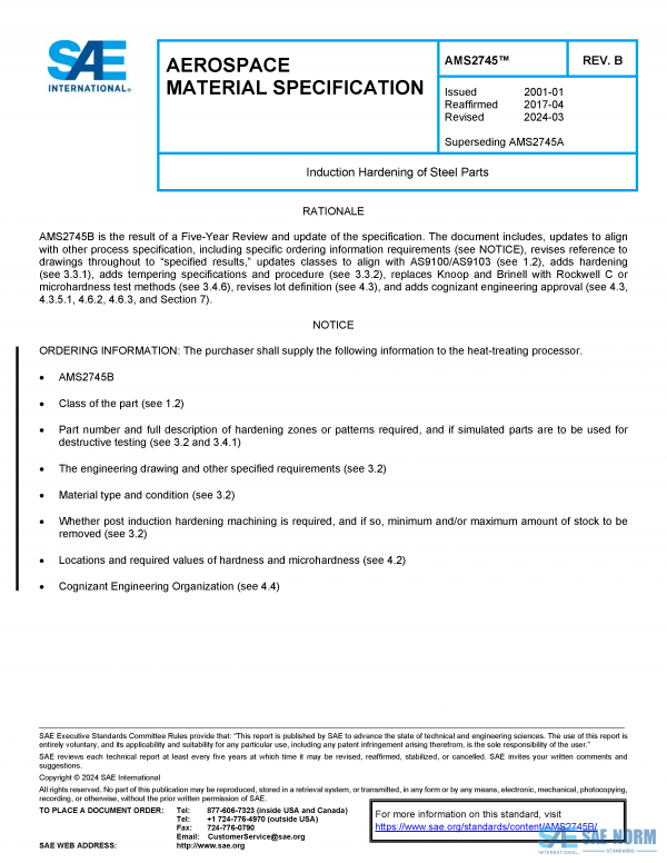 SAE AMS 2745 Series PDF