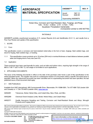 SAE AMS 5667 Series PDF