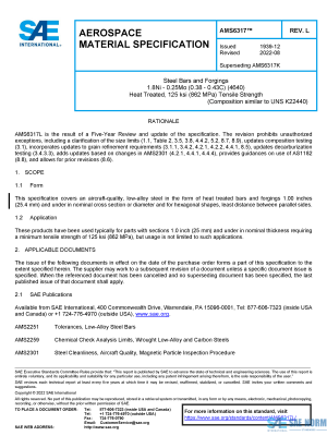SAE AMS 6317 Series PDF