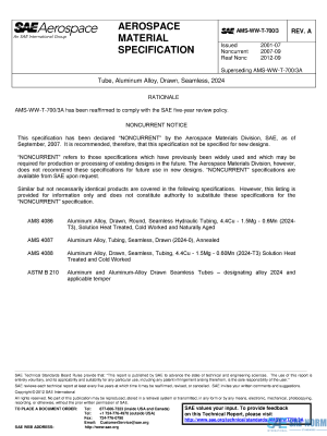 SAE AMSWWT 700/3 Series PDF