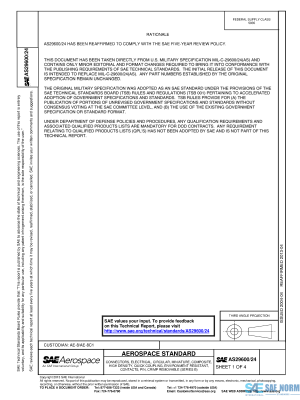 SAE AS 29600/24 Series PDF