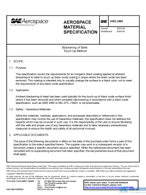 SAE AMS 2489 Series PDF