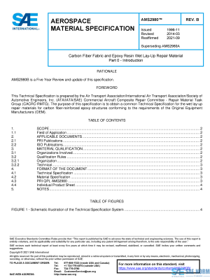 SAE AMS 2980 Series PDF