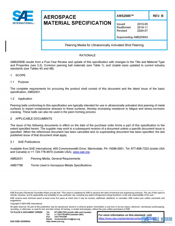 SAE AMS 2585 Series PDF