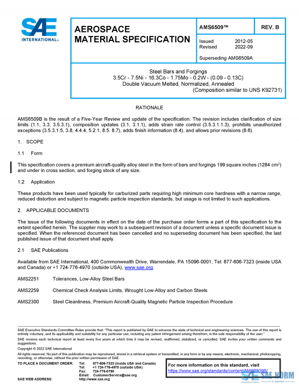 SAE AMS 6509 Series PDF