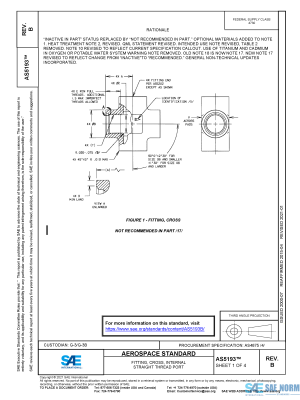 SAE AS 5193 Series PDF